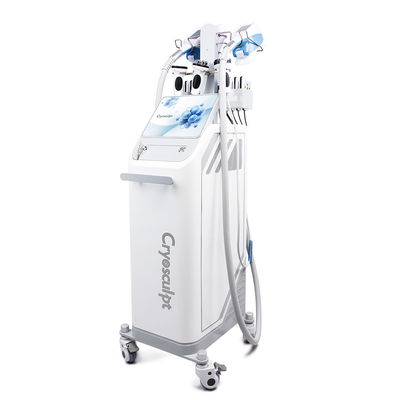 acheter 360° Cryolipolyse congélation des graisses CoolSculpting Body Slimming Machine de perte de poids fabrication en ligne