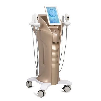 acheter Clinique de beauté HIFU machine de lifting du visage anti-âge RF machine de lifting du visage fabrication en ligne
